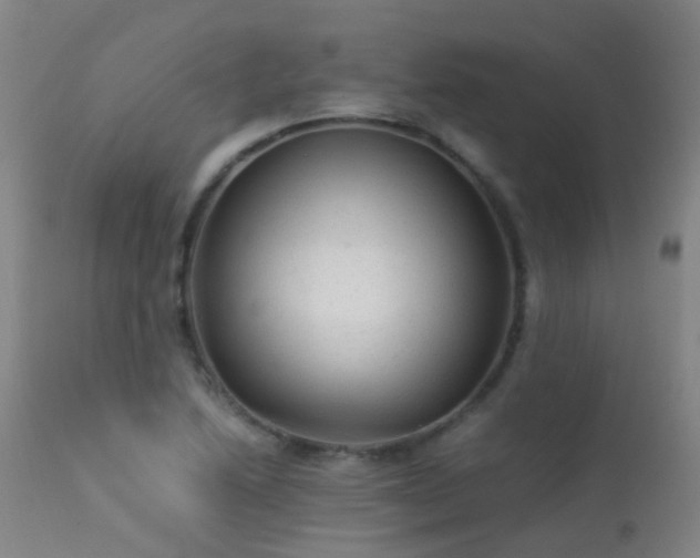 X0000113331222200909211212