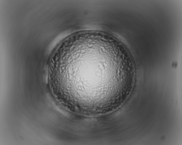 X0000113331223200909211212