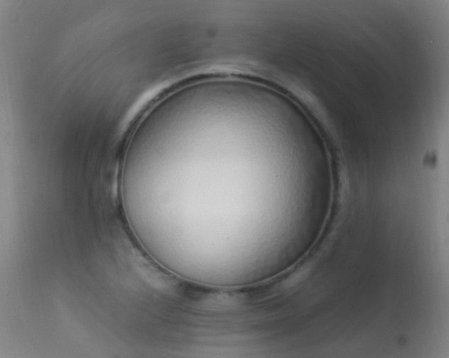 X0000113331224200909211212