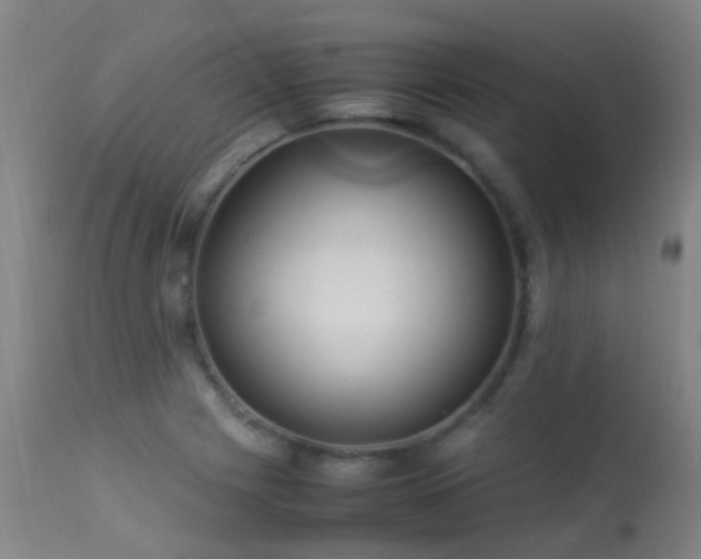 X0000113331225200909211212