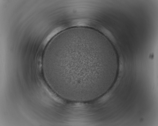 X0000113331226200909211212