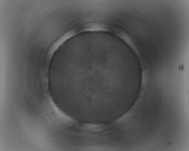 X0000113331229200909211212
