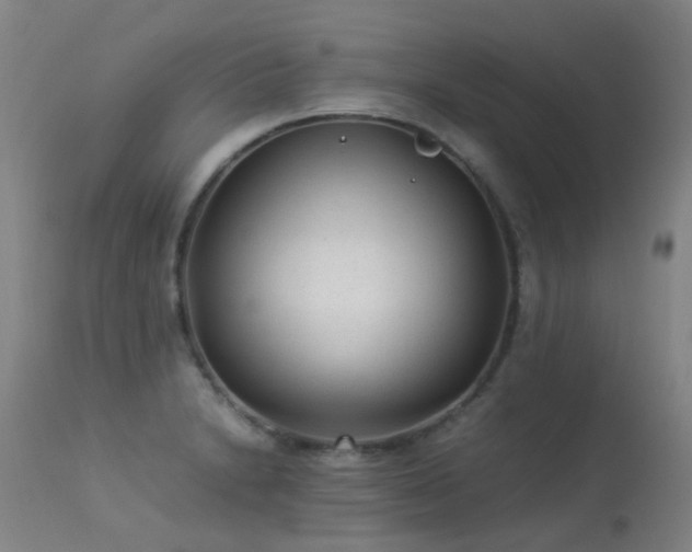 X0000113331230200909211212