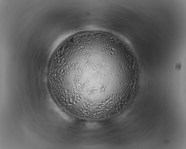 X0000113331231200909211212