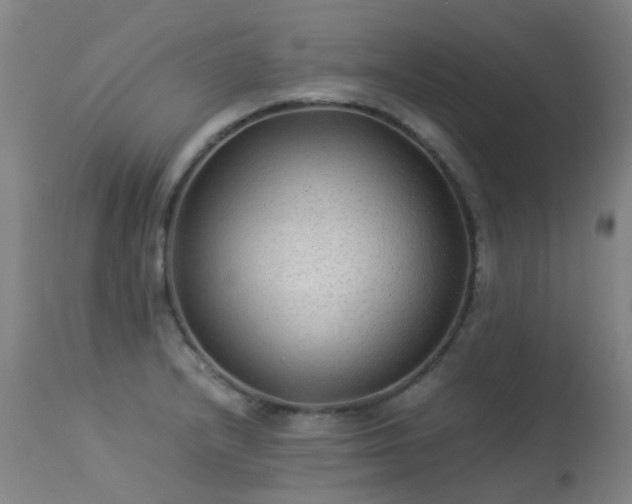 X0000113331232200909211212