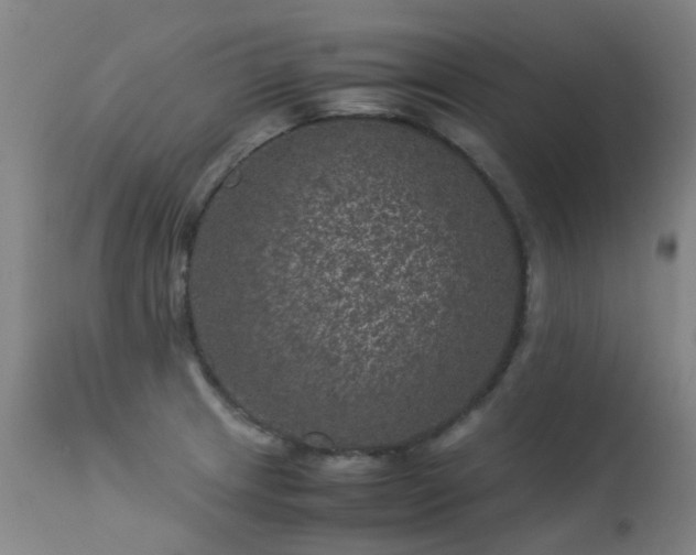 X0000113331233200909211212