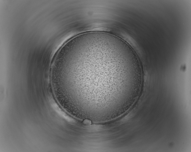 X0000113331236200909211212