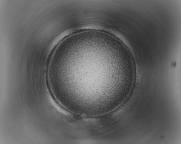 X0000113331237200909211212