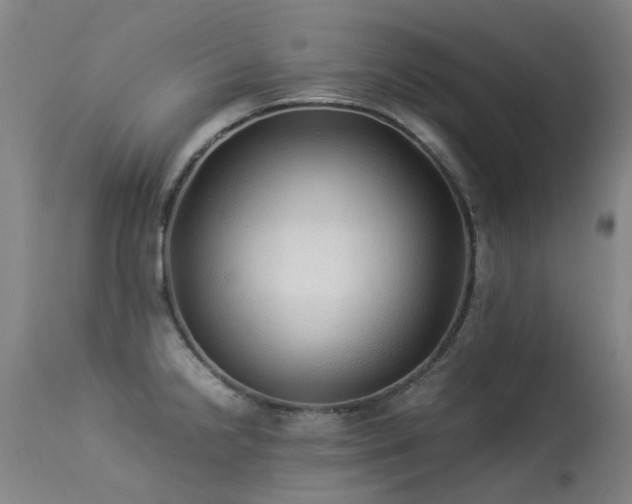 X0000113331238200909211212