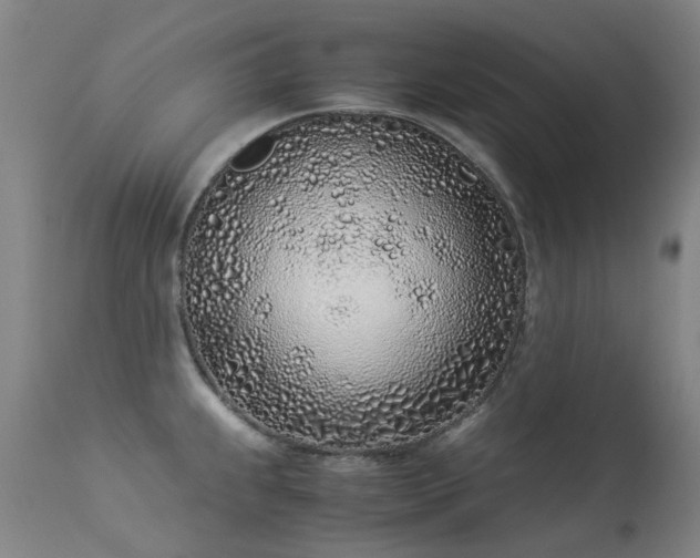 X0000113331239200909211212
