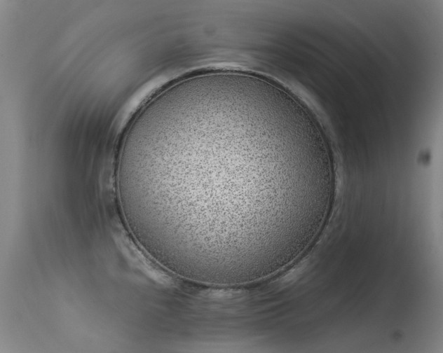 X0000113331240200909211212