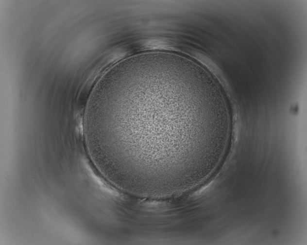 X0000113331241200909211212