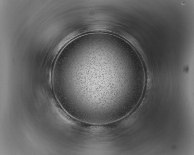 X0000113331242200909211212