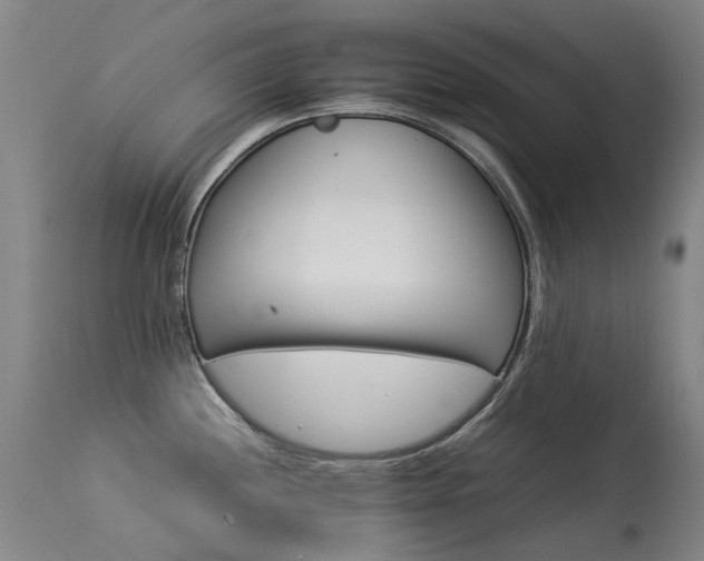 X0000113331244200909211212