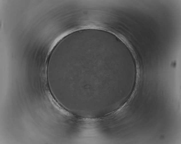 X0000113331246200909211212