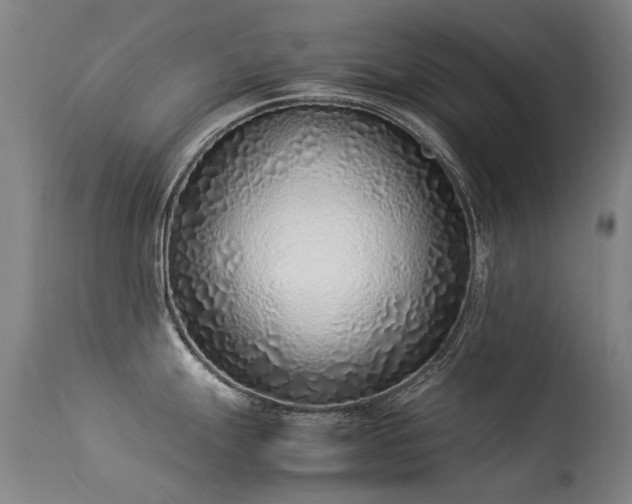 X0000113331247200909211212