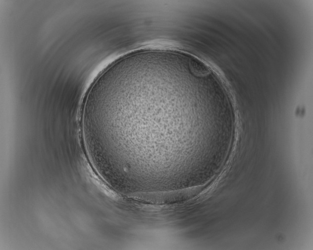 X0000113331248200909211212