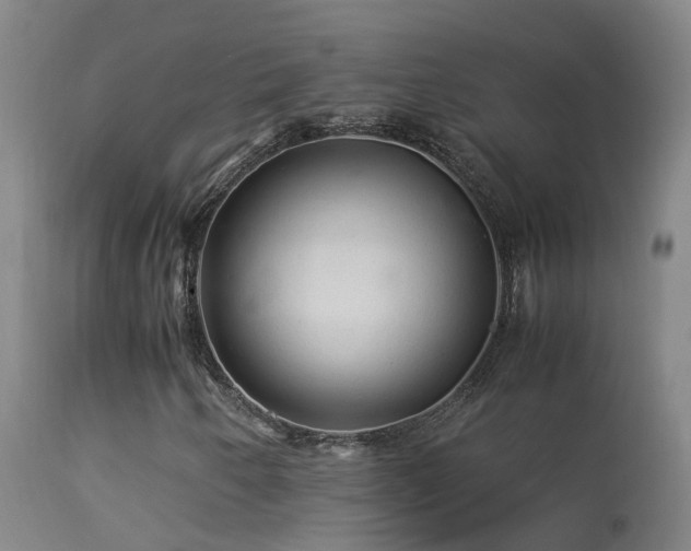 X0000113331250200909211212