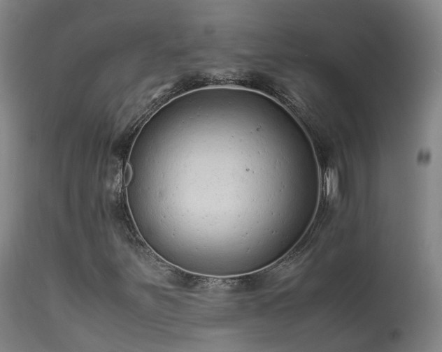 X0000113331251200909211212