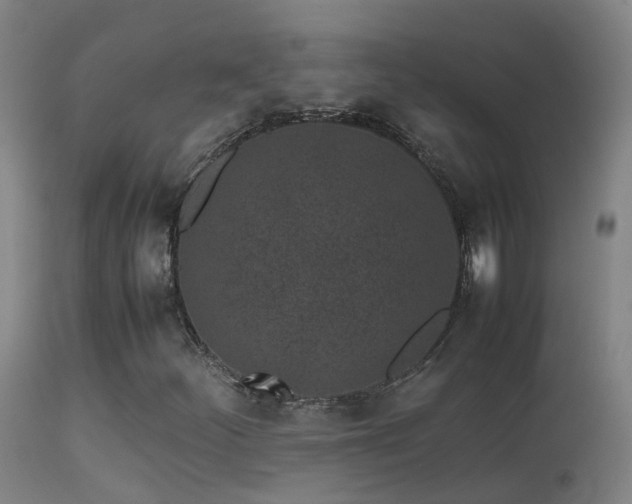 X0000113331252200909211212