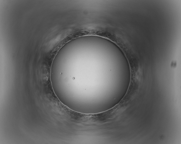X0000113331253200909211211
