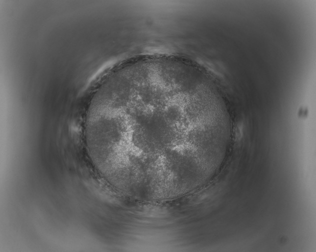 X0000113331254200909211211