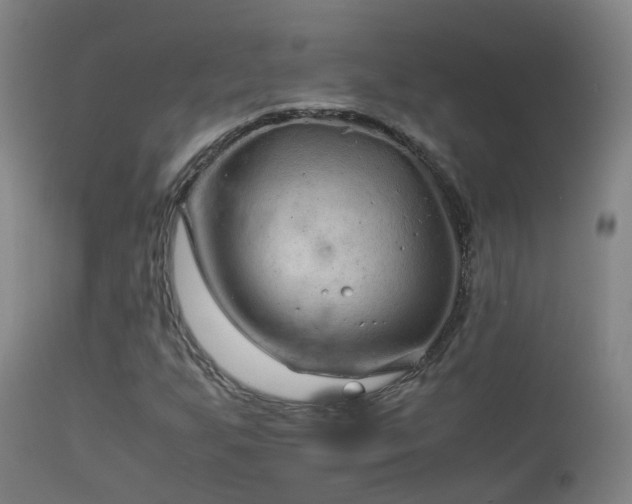 X0000113331255200909211211