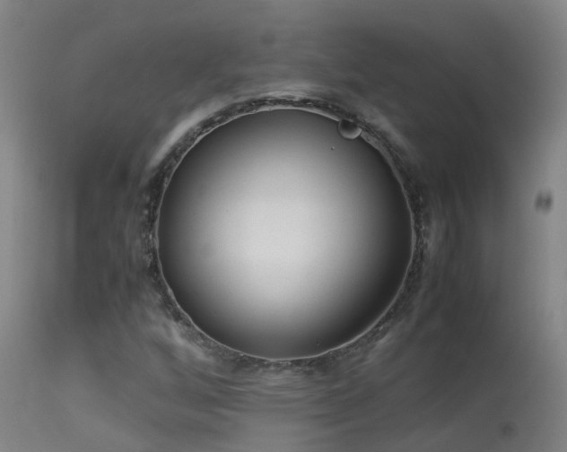 X0000113331256200909211211
