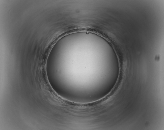 X0000113331257200909211211