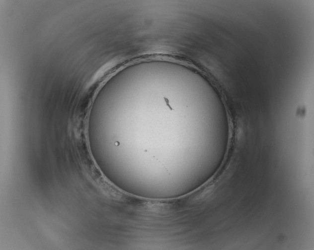 X0000113331258200909211211