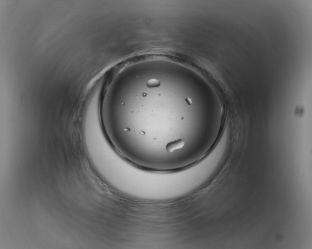 X0000113331260200909211211