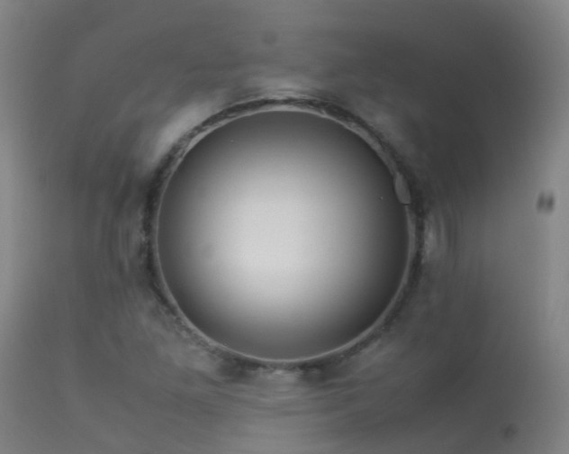 X0000113331261200909211211