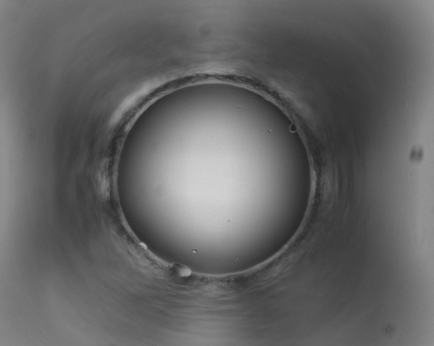 X0000113331262200909211211