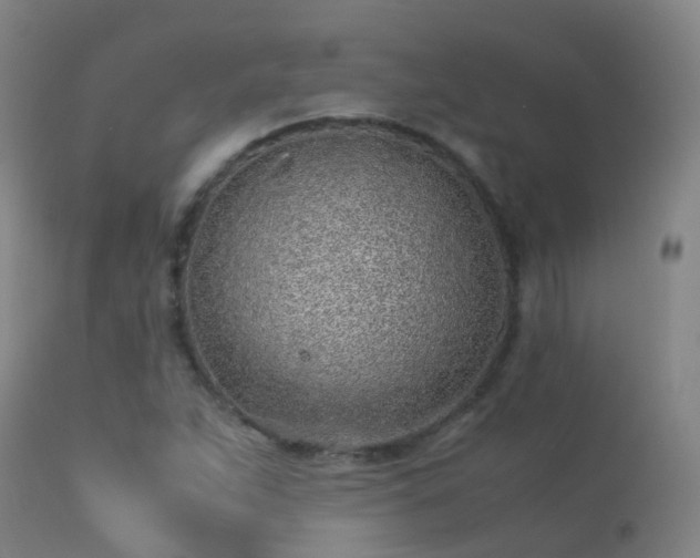 X0000113331263200909211211