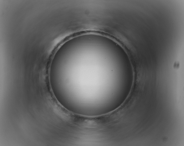 X0000113331264200909211211