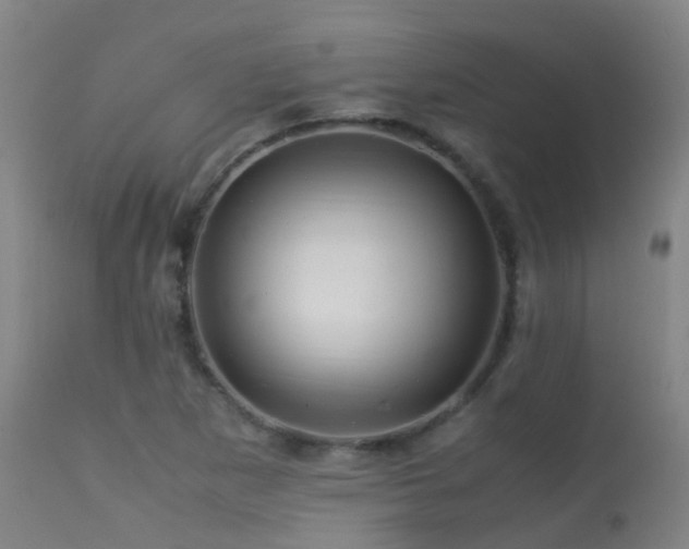 X0000113331265200909211211