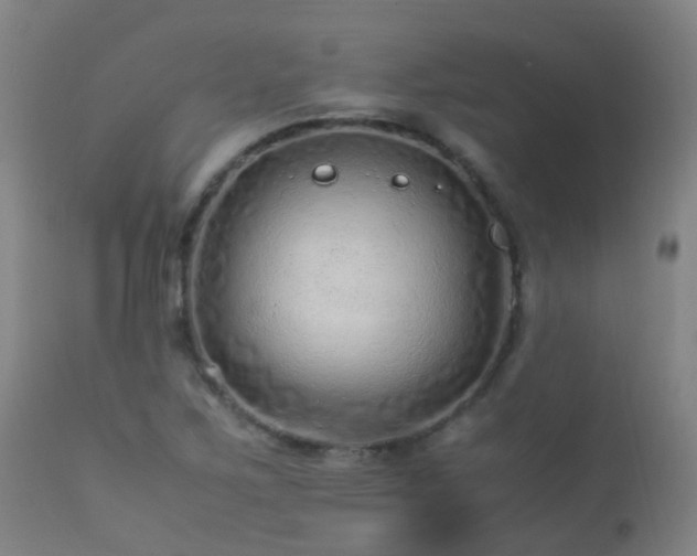X0000113331267200909211211