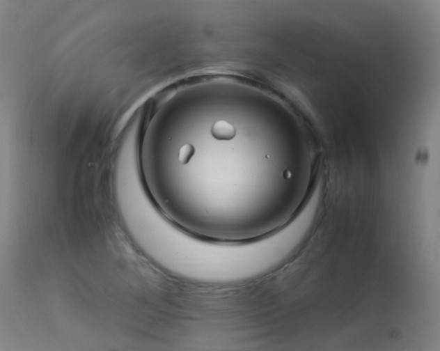 X0000113331268200909211211
