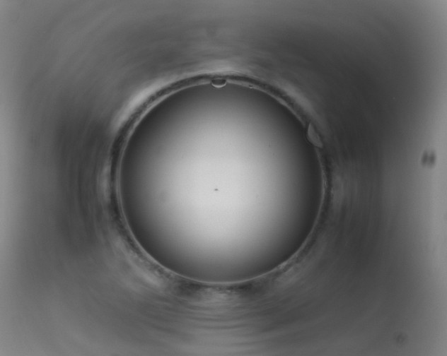 X0000113331270200909211211