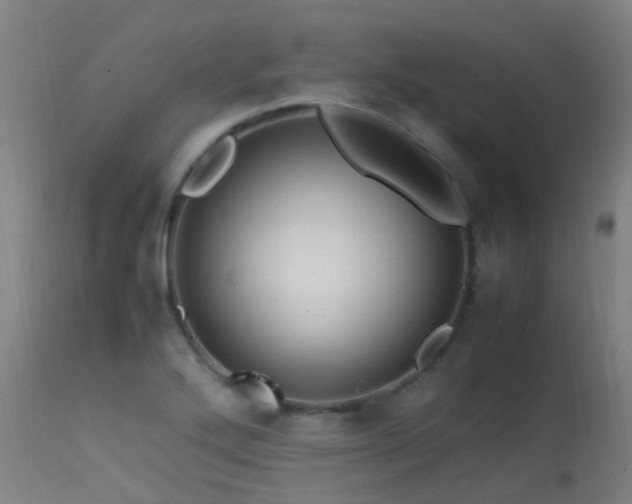 X0000113331272200909211211