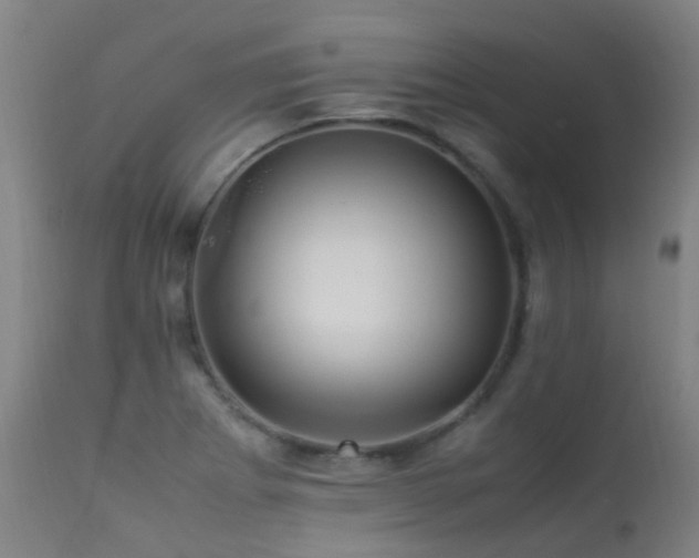X0000113331273200909211211