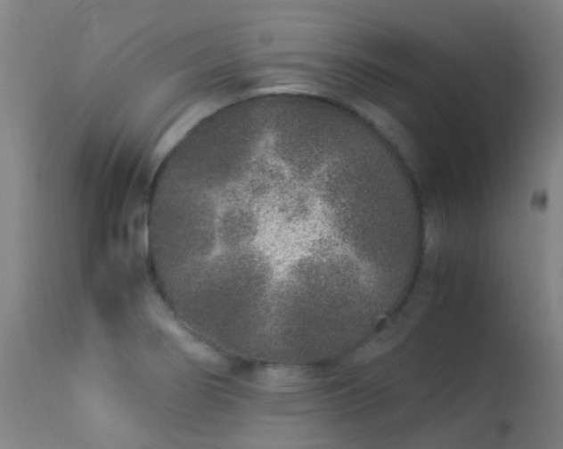 X0000113331274200909211211