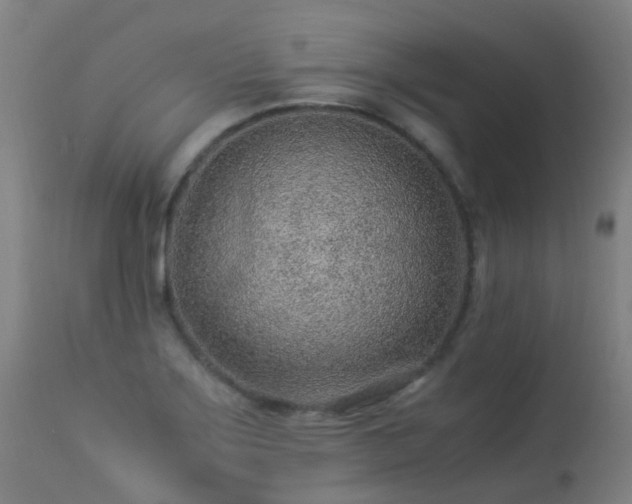 X0000113331275200909211211