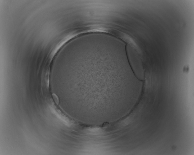 X0000113331276200909211211