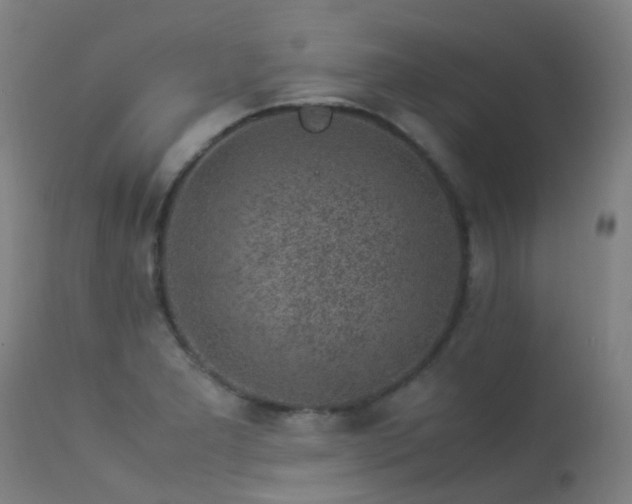 X0000113331277200909211211