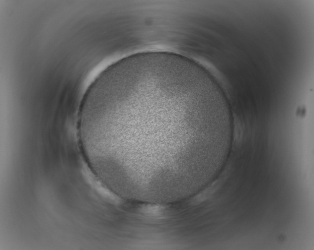 X0000113331278200909211211