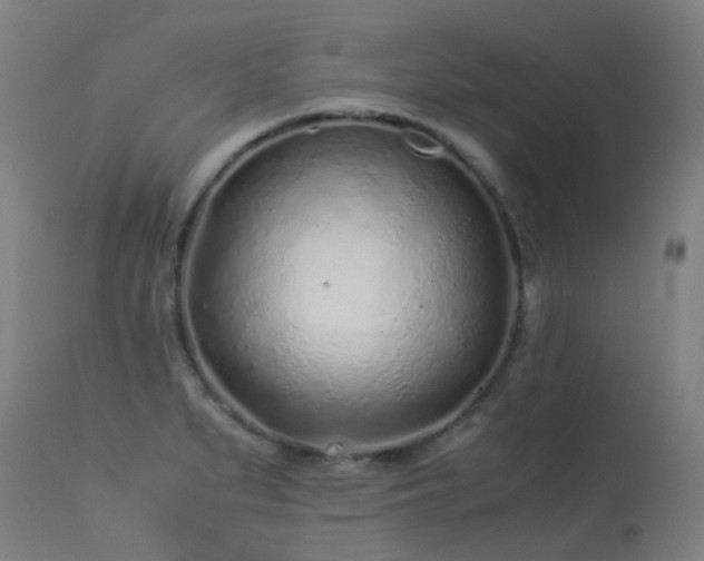 X0000113331279200909211211