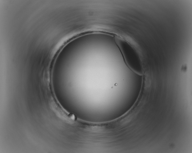 X0000113331280200909211211