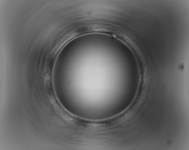 X0000113331281200909211211