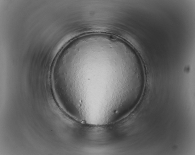 X0000113331283200909211211